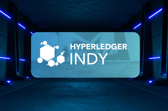 Hyperledger Indy development Company In UAE