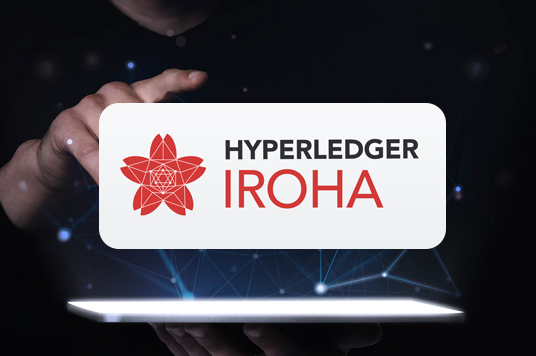 Hyperledger Iroha development Company In UAE