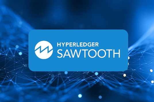 Hyperledger Sawtooth development Company In UAE