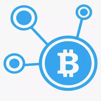 We offer the best bitcoin development services for all types of cryptocurrencies and help you for the development of bitcoin wallet app