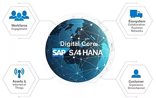 Tokyo Techie provides you the SAP- S/4HANA Application Development services with support and platforms guide